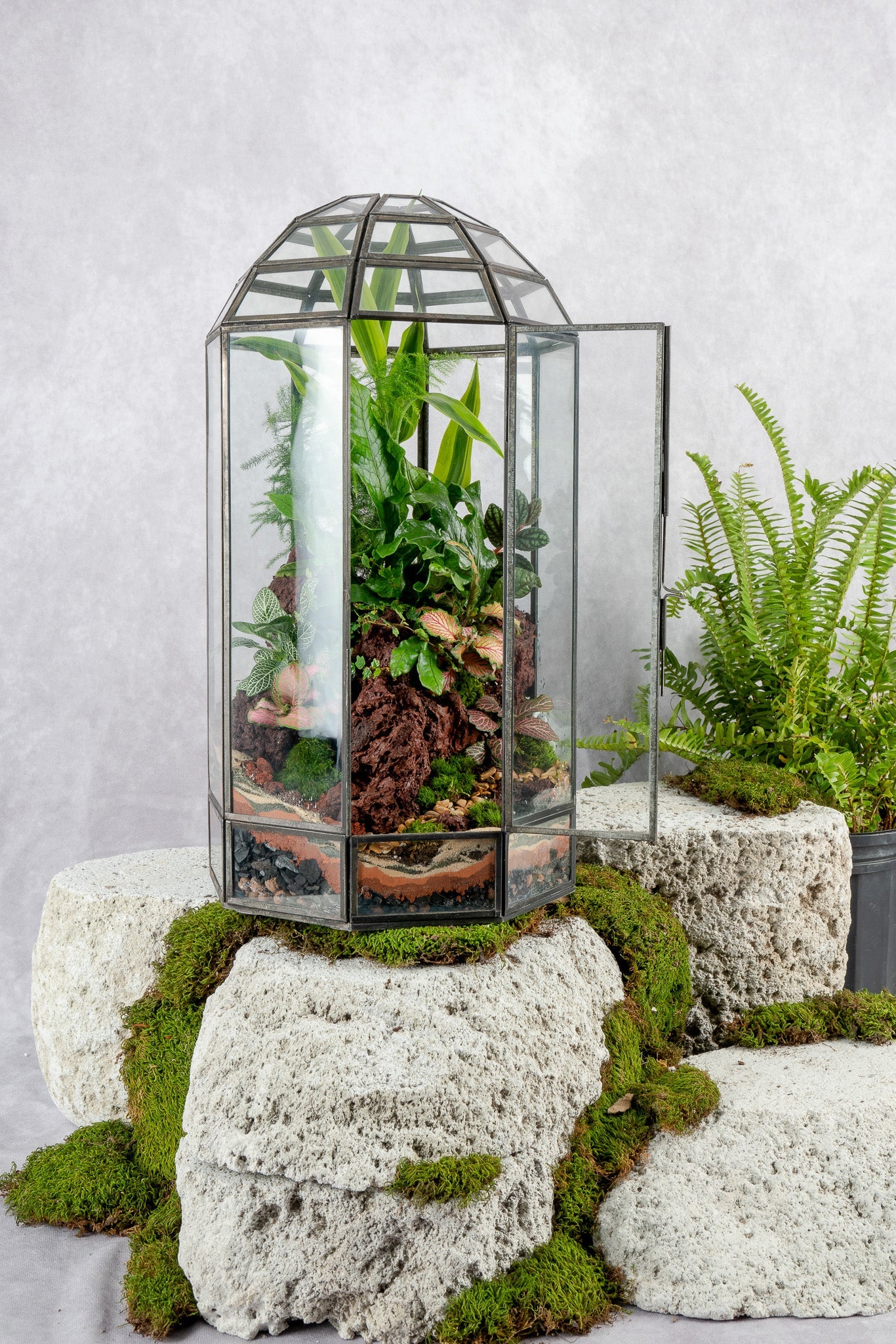 Babylon Tower Terrarium