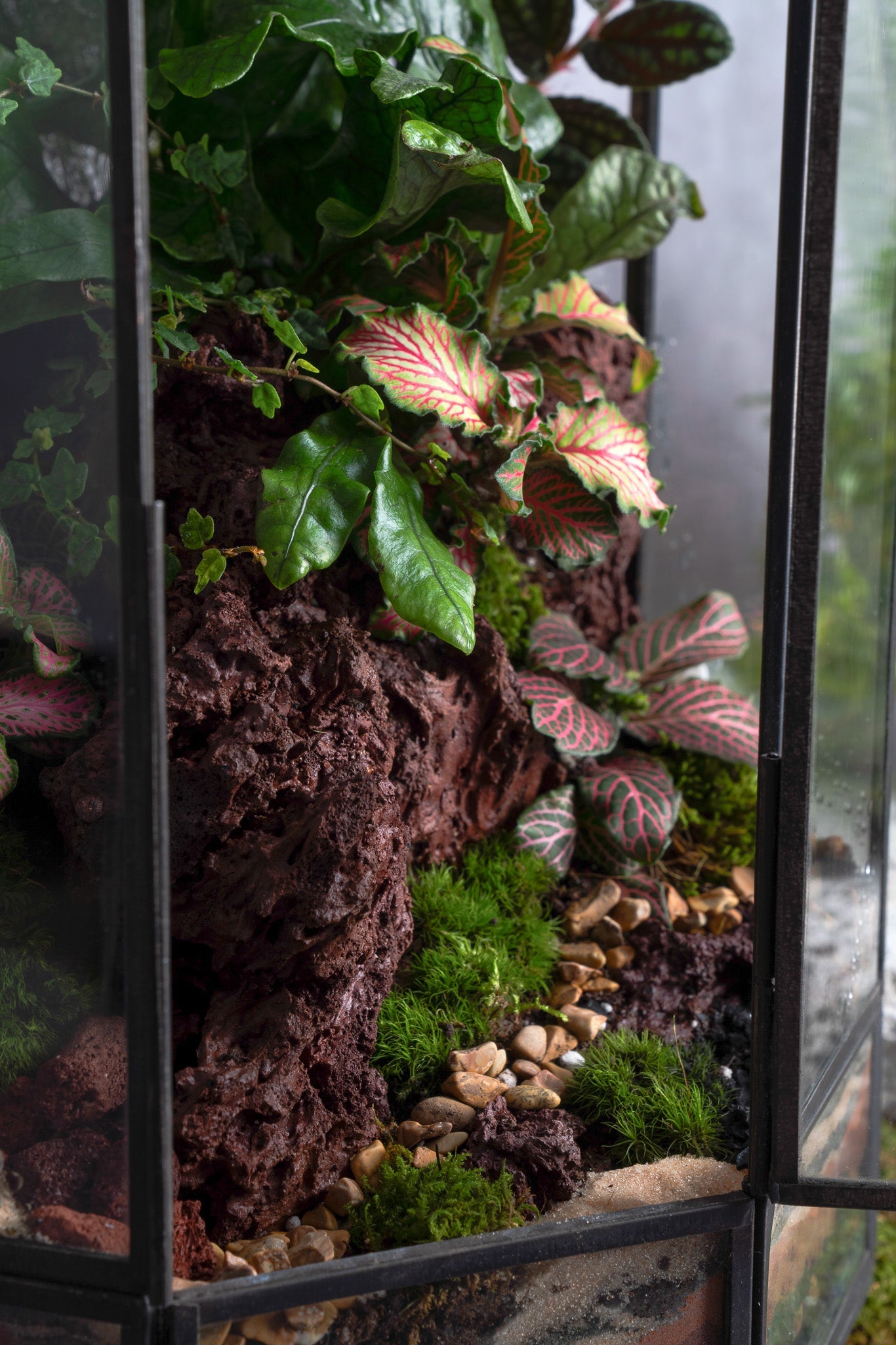 Babylon Tower Terrarium