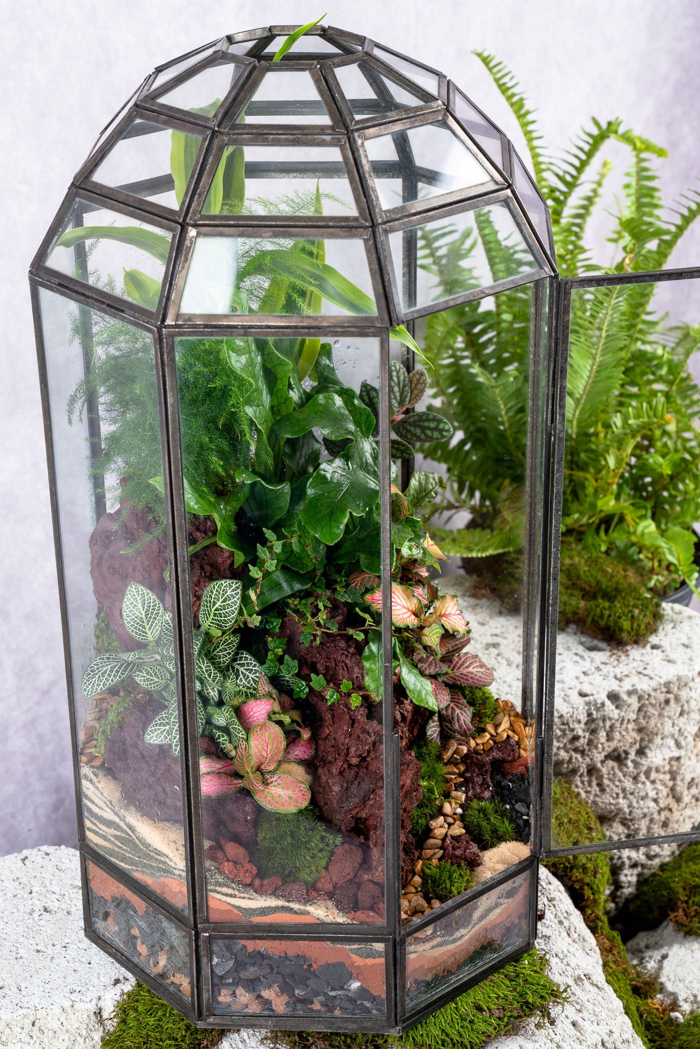 Babylon Tower Terrarium