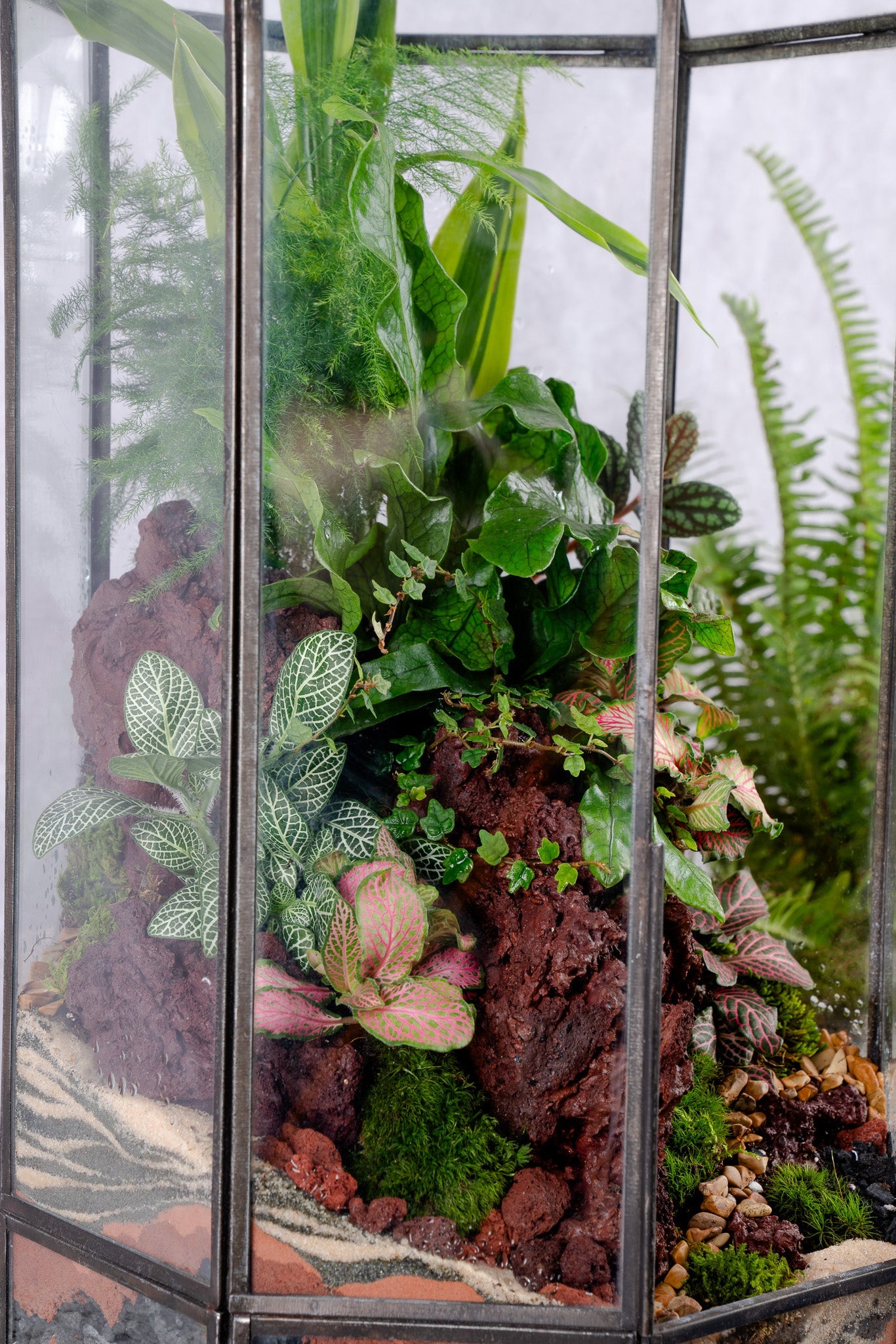 Babylon Tower Terrarium